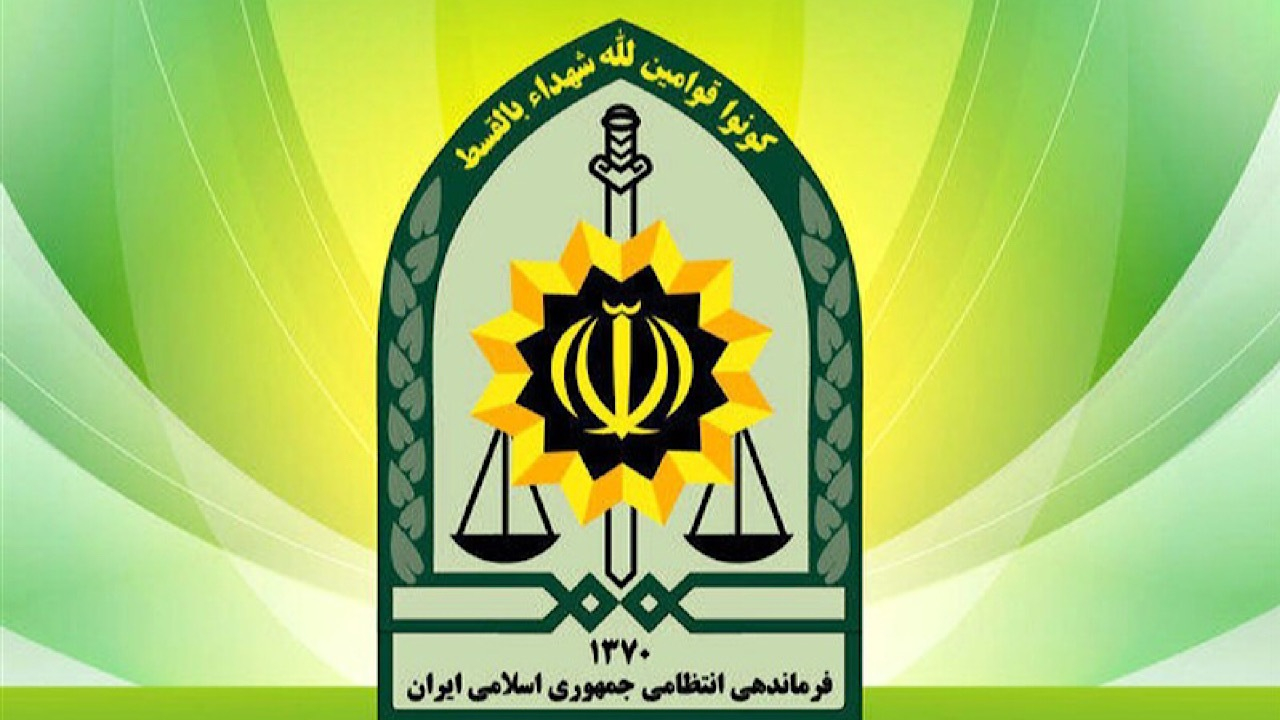 توضیح پلیس درباره بازداشت یکی از بازیگران معروف