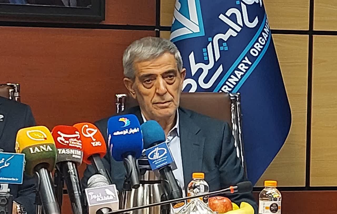 فعالیت پتشاپها باید ساماندهی شود/ ۸۰ درصد فعالیت برخی مراکز در حوزه دارو و لوازم بهداشتی است