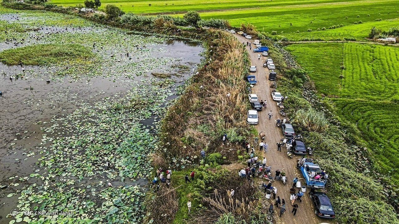 بخشنامه‌ای برای تغییر کاربری اراضی کشاورزی به بوم‌گردی صادر نشده است