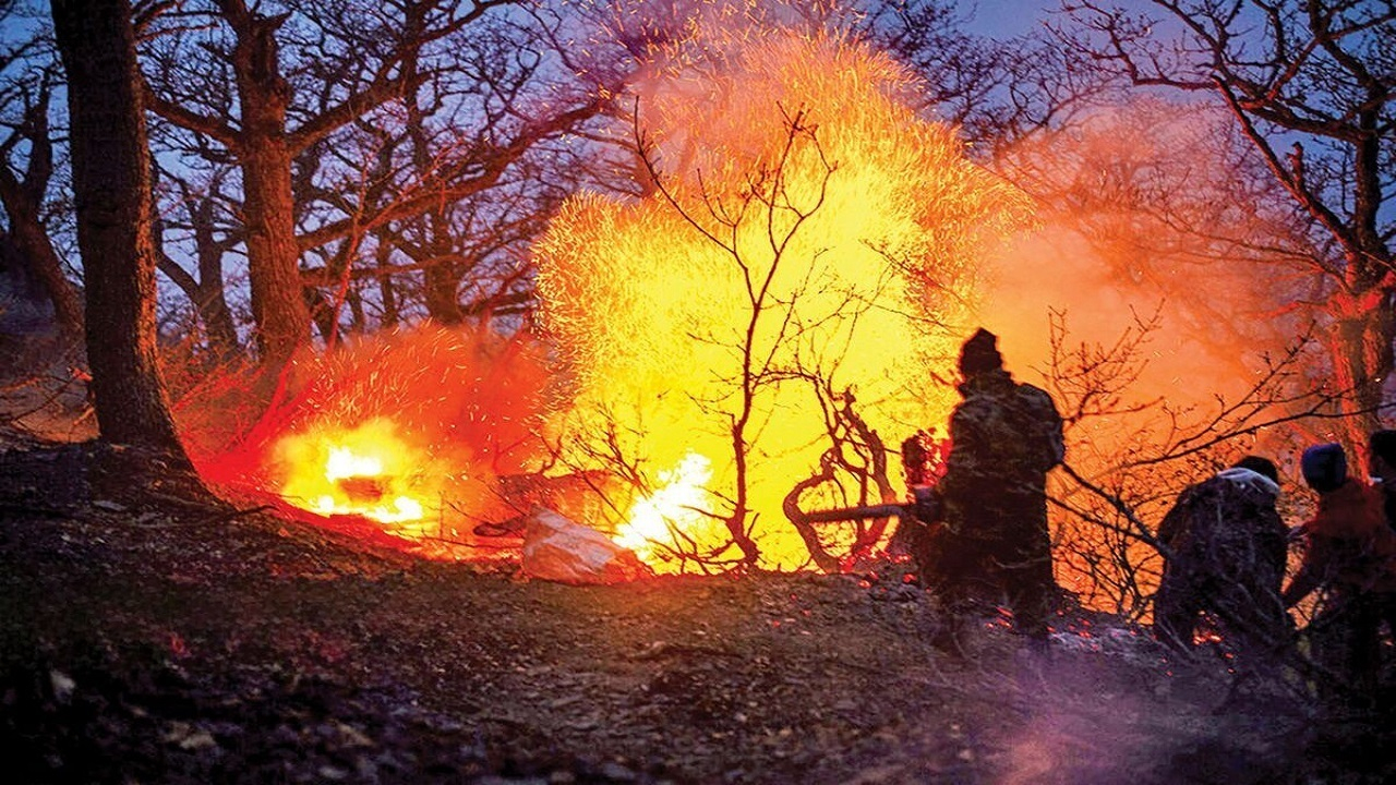 آتش سوزی جنگل ها، خاک آلی کشور را از بین برد+ فیلم