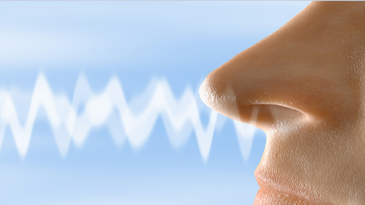 کاهش حس بویایی در افراد مسن نشانه هشدار اولیه برای یک بیماری جدی 