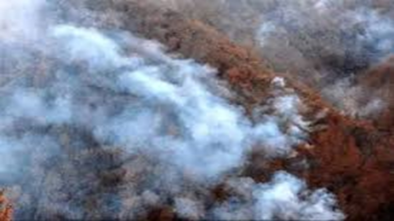 آخرین وضعیت آتشسوزی در الیت مرزنآباد + فیلم