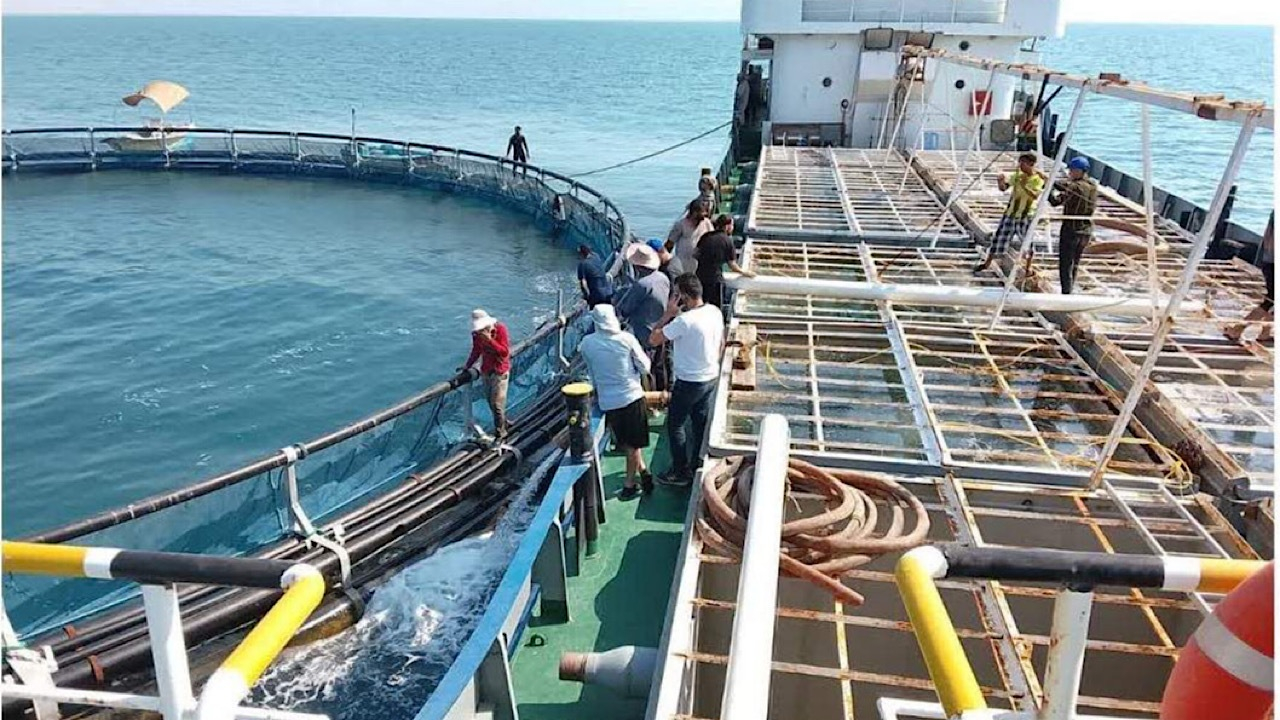 افتتاح ۱۵۳ پروژه شیلاتی در ۲۳ استان کشور به مناسبت دهه فجر