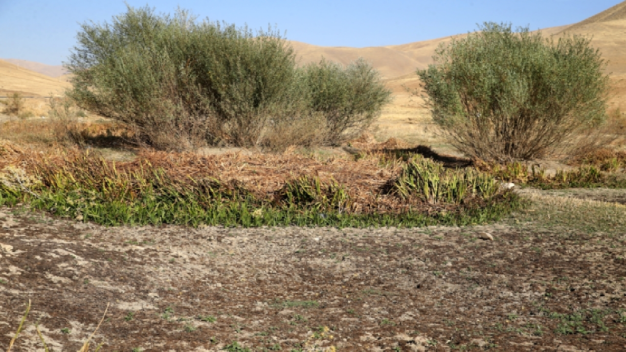 ظرفیت «صندوق سازگاری» برای تاب‌آوری اقلیمی به کار گرفته می‌شود