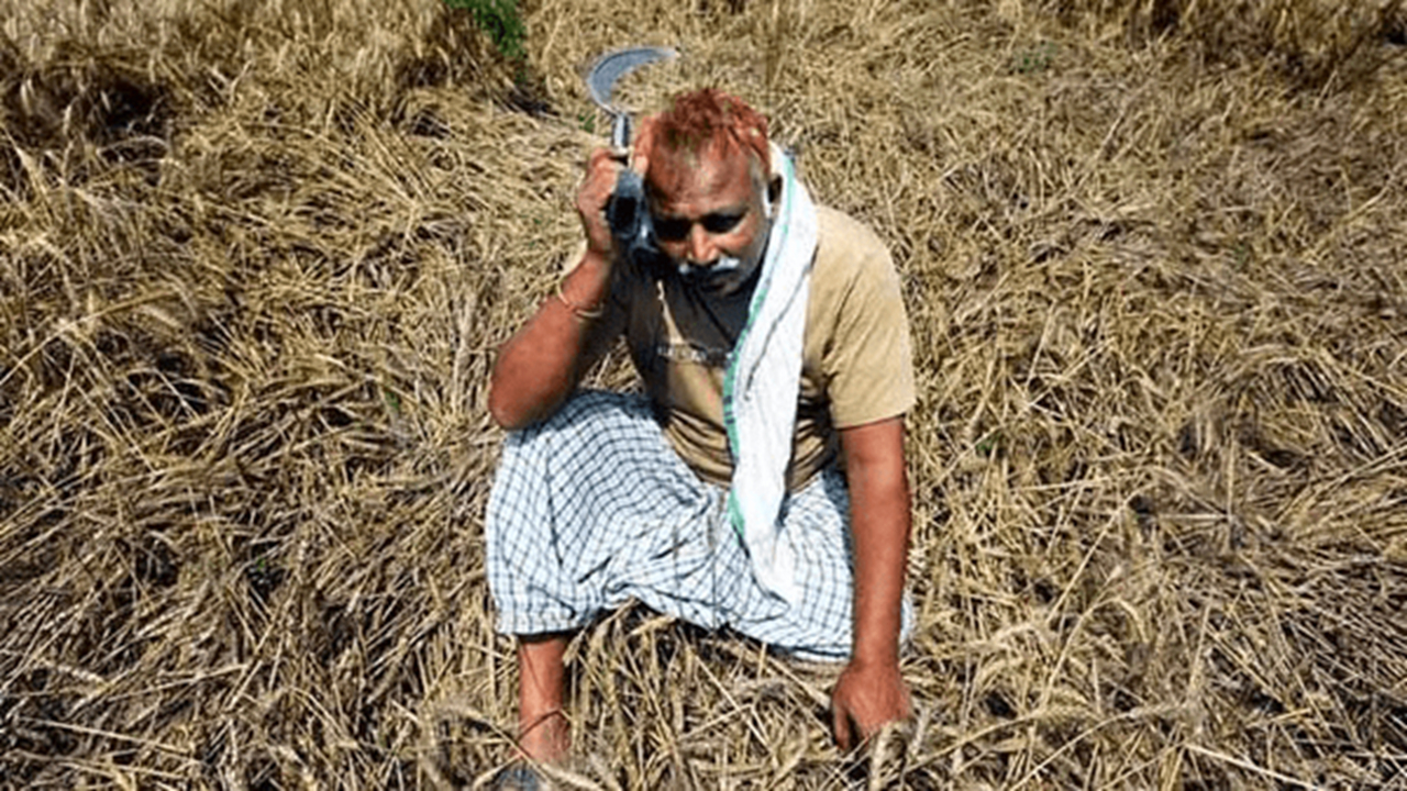 پشتپرده همکاری هند و اسرائیل؛ توسعه یا استثمار کشاورزان؟