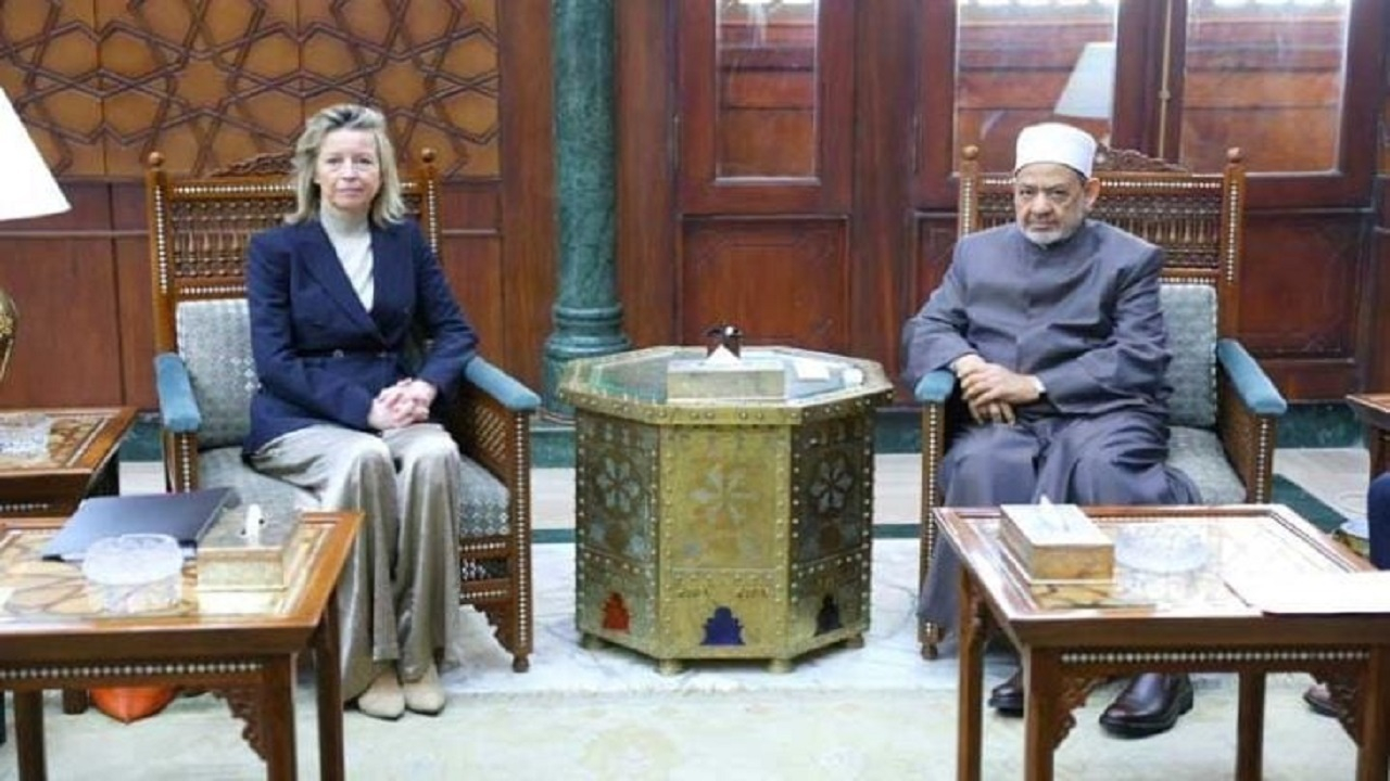 انتقاد شیخ الازهر از استانداردهای دوگانه غرب در خصوص حقوق انسان