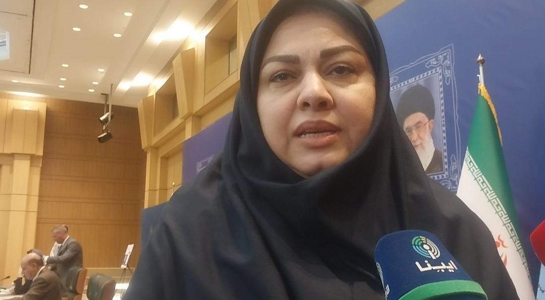 رونمایی از فاز دوم پروژه کارتهای ایرانی برای گردشگران روسی
