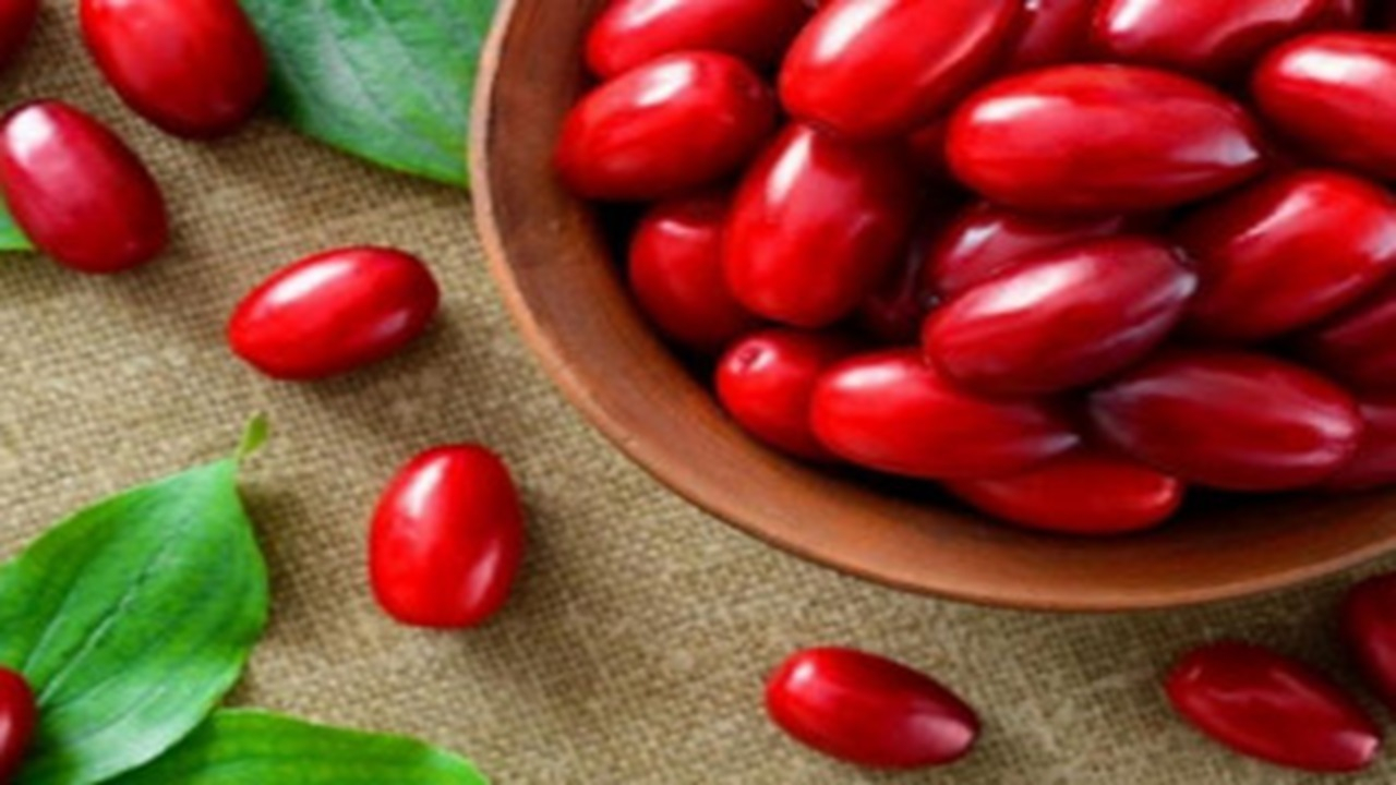 زغالاخته؛ میوه کوچک با خواص بزرگ برای سلامتی