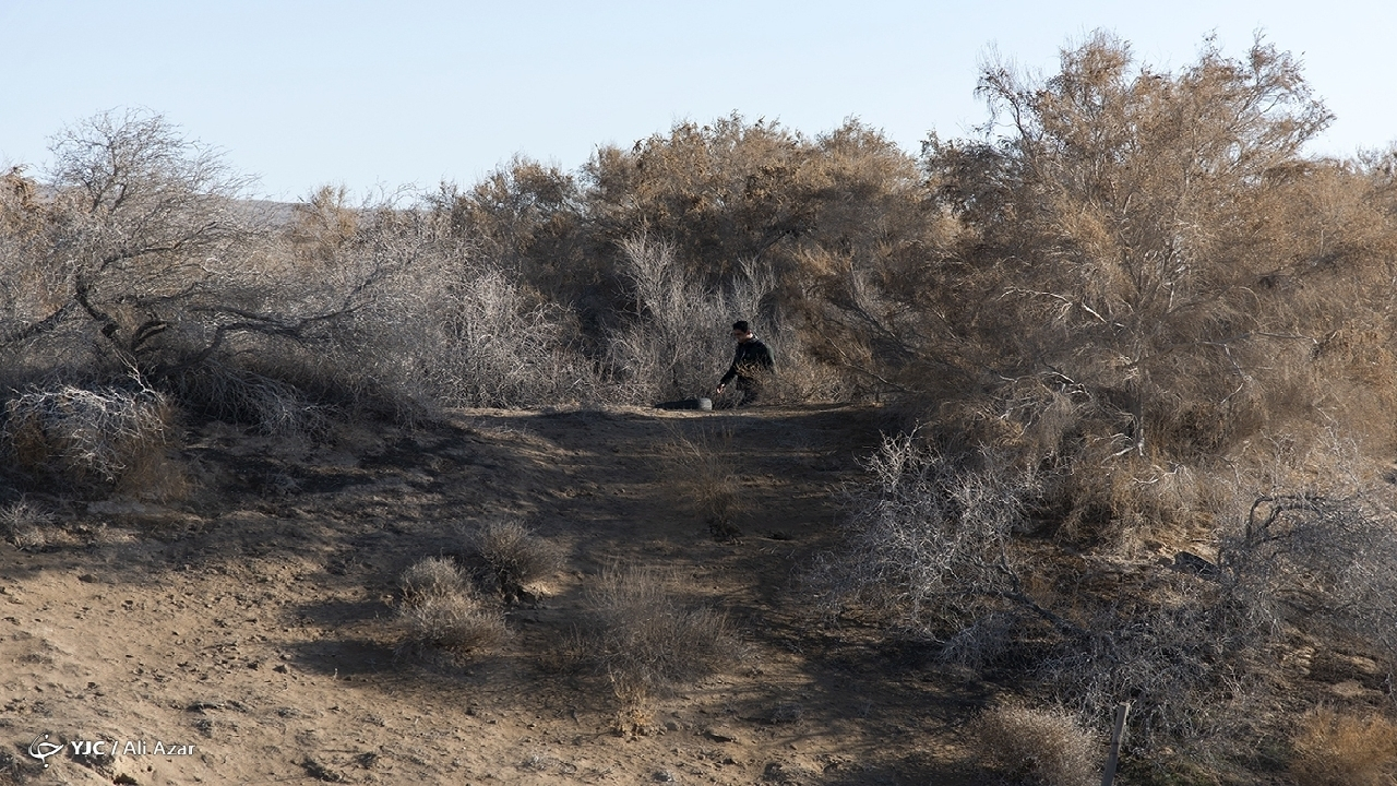 تغییر اقلیم یک مساله فانتزی نیست/ عدم حضور در اجلاس تغییر اقلیم خودتحریمی است