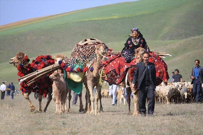 آغاز کوچ پاییزه عشایر خراسان رضوی به مناطق قشلاقی