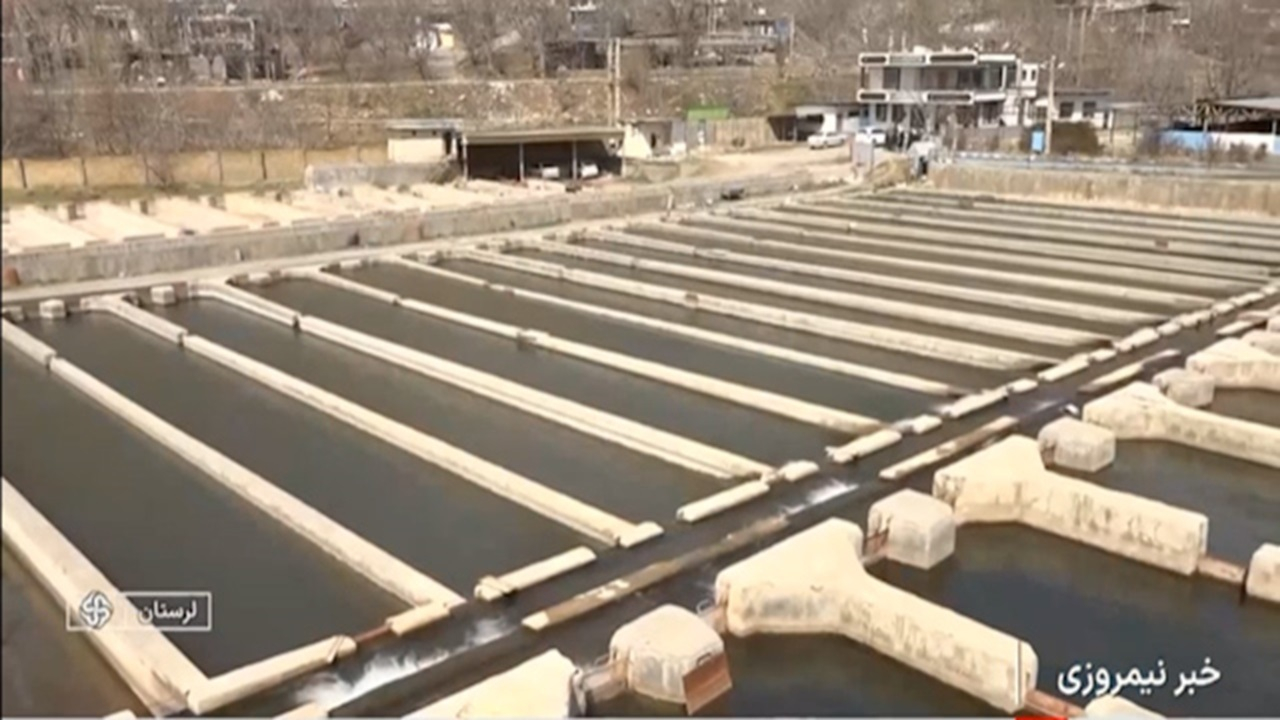 پرورش ماهیان سردآبی در لرستان + فیلم